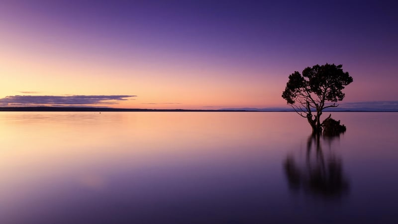 Sunset Serenade